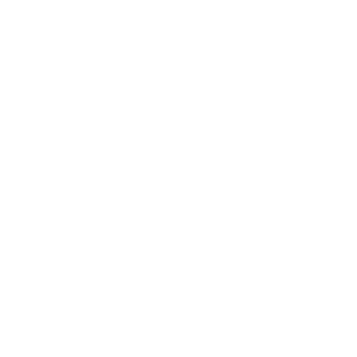 Create new version icon
